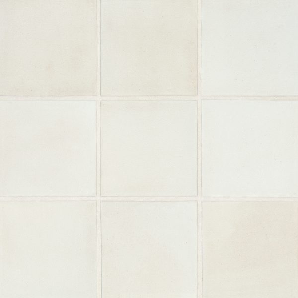 Celine 4  x 4  Matte Porcelain Floor & Wall Tile in White - 100003125