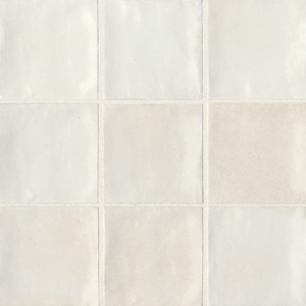 Celine 4  x 4  Glossy Porcelain Floor & Wall Tile in White - 100003432