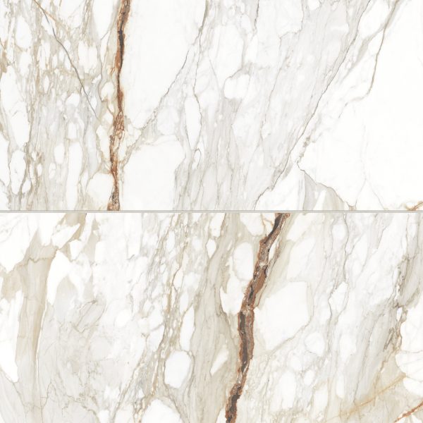 Prati 24  x 48  Honed Porcelain Field Tile in Calacatta Macchia Vecchia - 100003491