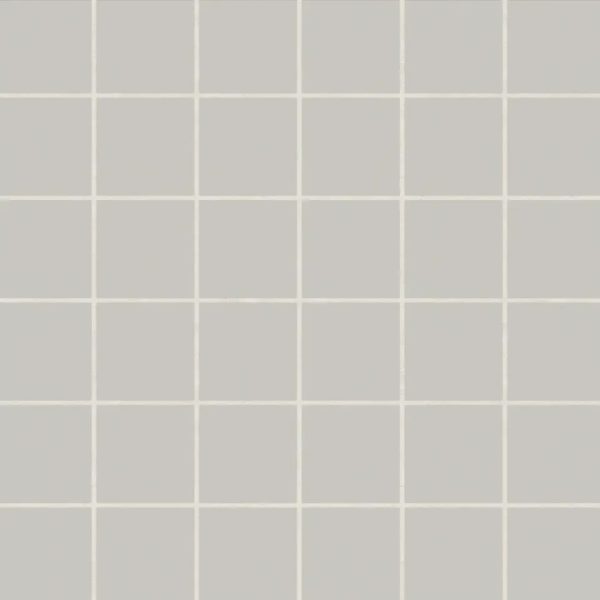 Marin 2  x 2  Square Matte Porcelain Mosaic in Pebble Gray - 100004801