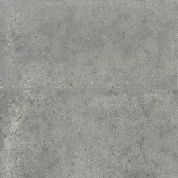 Poetry Stone 24  x 48  Matte Porcelain Field Tile in Grey - 100005406