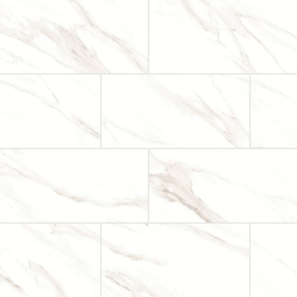 Shandar 12  x 24  Matte Porcelain Field Tile in Statuario - 100005426