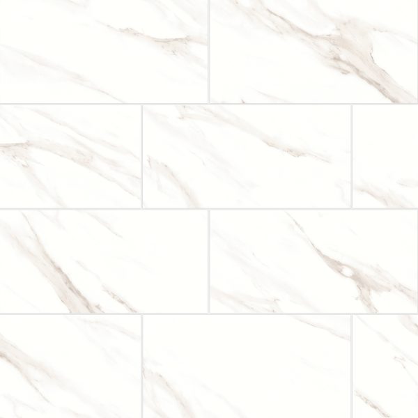 Shandar 12  x 24  Polished Porcelain Field Tile in Statuario - 100005427