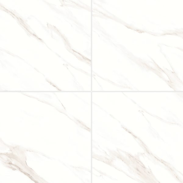 Shandar 24  x 24  Matte Porcelain Field Tile in Statuario - 100005428