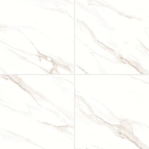 Shandar 24  x 24  Polished Porcelain Field Tile in Statuario - 100005429