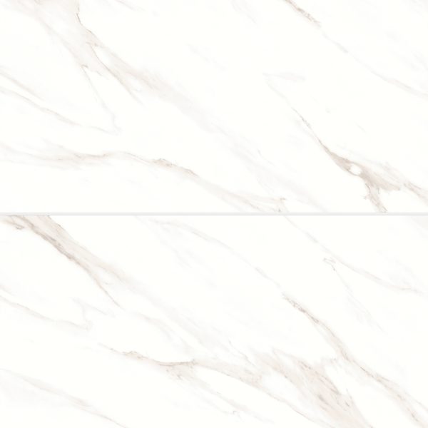 Shandar 24  x 48  Matte Porcelain Field Tile in Statuario - 100005430