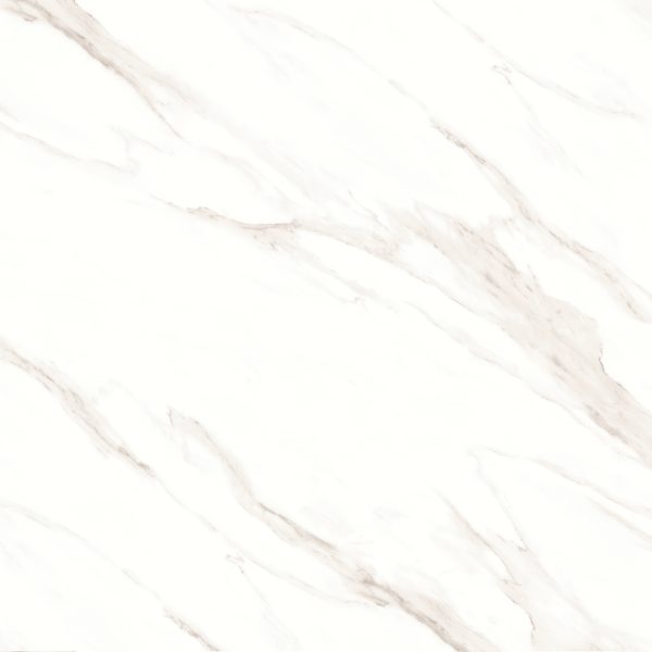 Shandar 48  x 48  Matte Porcelain Field Tile in Statuario - 100005433