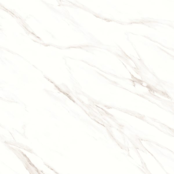 Shandar 48  x 48  Polished Porcelain Field Tile in Statuario - 100005434