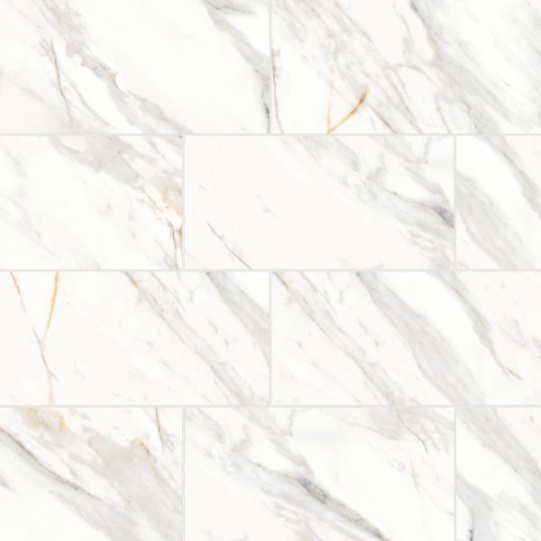 Shandar 12  x 24  Matte Porcelain Field Tile in Arezzo Bianco - 100005435