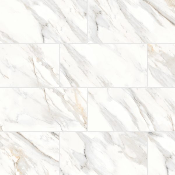 Shandar 12  x 24  Polished Porcelain Field Tile in Arezzo Bianco - 100005436