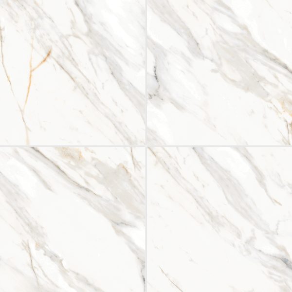 Shandar 24  x 24  Matte Porcelain Field Tile in Arezzo Bianco - 100005437