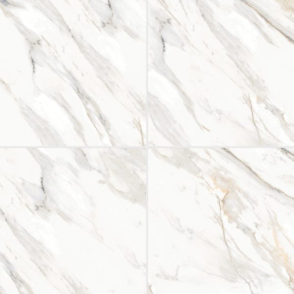 Shandar 24  x 24  Polished Porcelain Field Tile in Arezzo Bianco - 100005438