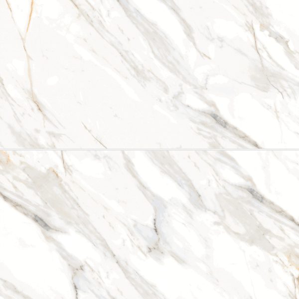 Shandar 24  x 48  Polished Porcelain Field Tile in Arezzo Bianco - 100005440