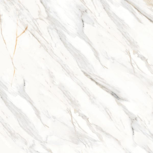 Shandar 48  x 48  Matte Porcelain Field Tile in Arezzo Bianco - 100005441