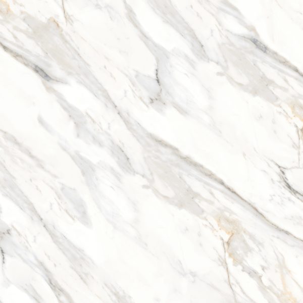 Shandar 48  x 48  Polished Porcelain Field Tile in Arezzo Bianco - 100005442