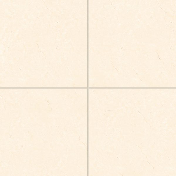 Shandar 24  x 24  Polished Porcelain Field Tile in Crema Marfil Light - 100005450