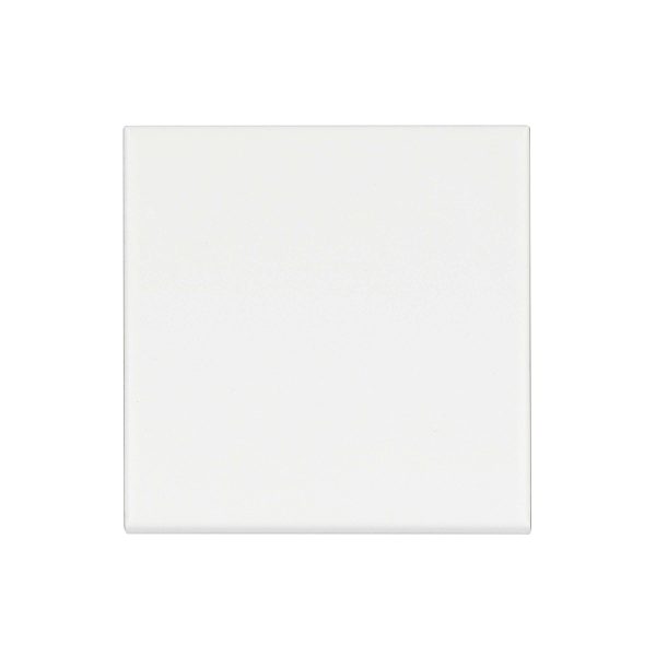 Traditions 6 x 6 Glossy Ceramic Bullnose in Ice White - CERTRAICES4669B