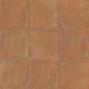 Cotto Nature 14  x 14  Floor & Wall Tile in Siena