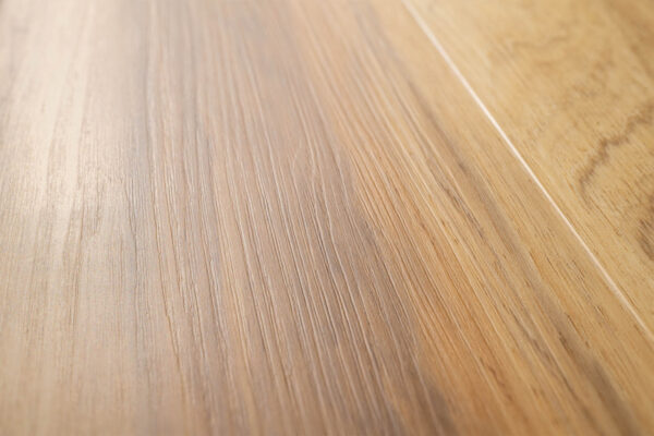 American Hickory - Image 3