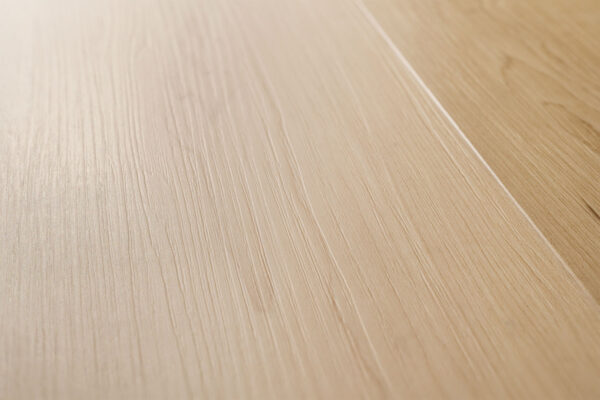 American Maple - Image 3