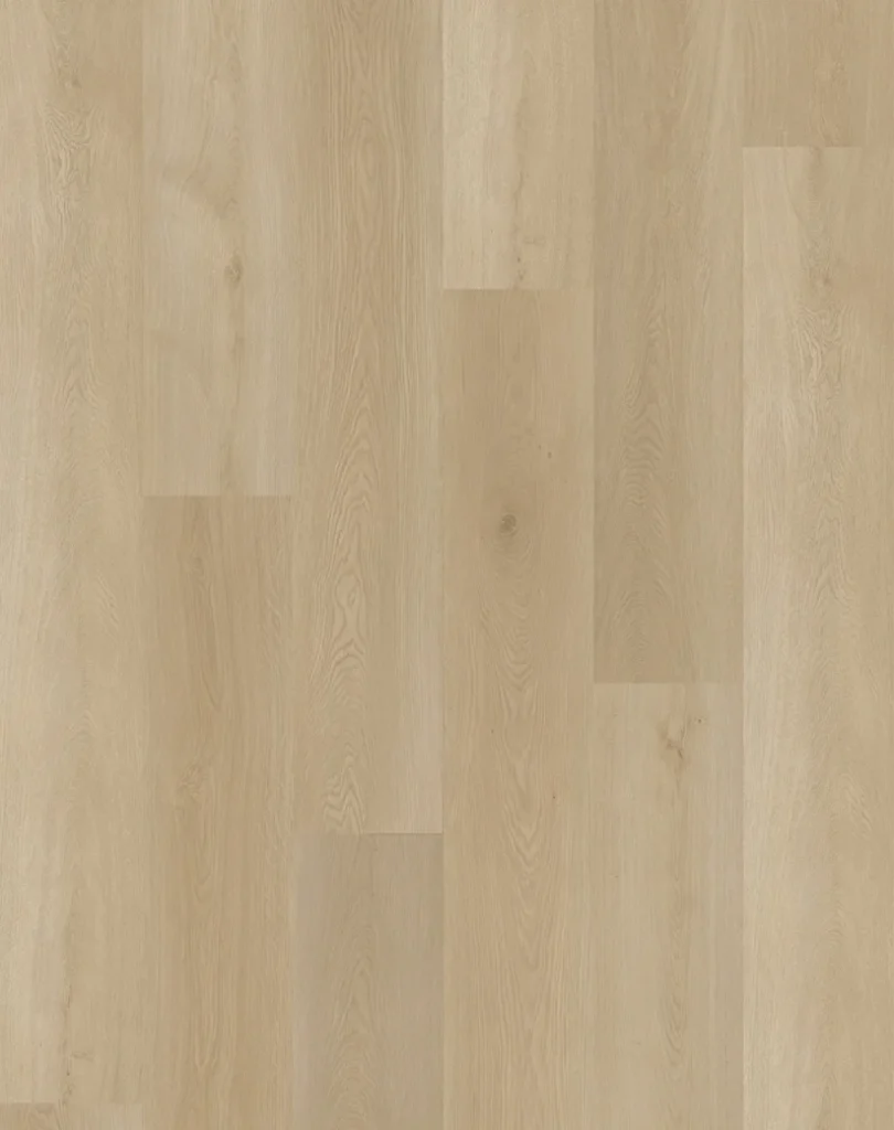 eTERRA Black Series Joy 9.05 X 70.87