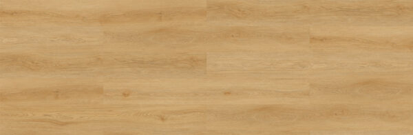 Sable - Image 6