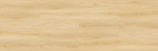 Sandhill - Image 5