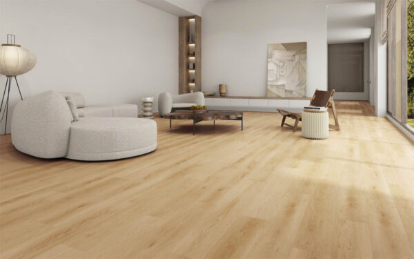 American Maple - Image 2