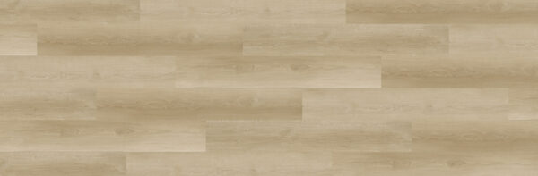 Volare - Image 3