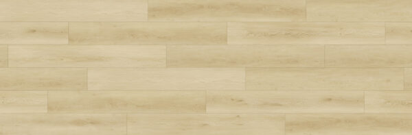 American Maple - Image 6