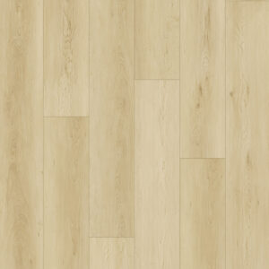 American Maple