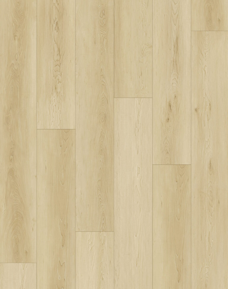 American Maple