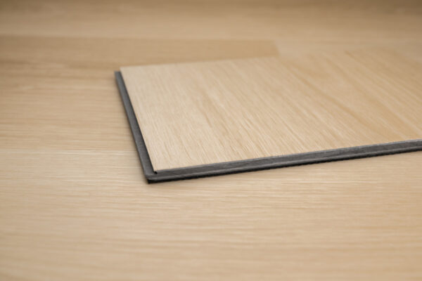 Volare - Image 5