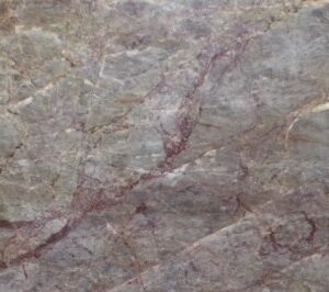 2cm Coral Reef - Premium