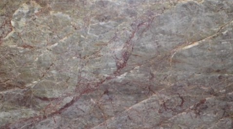 2cm Coral Reef - Premium