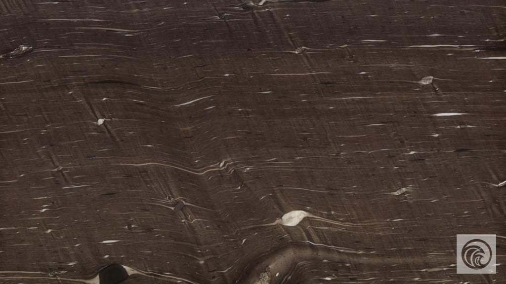 2cm Cygnus - Premium