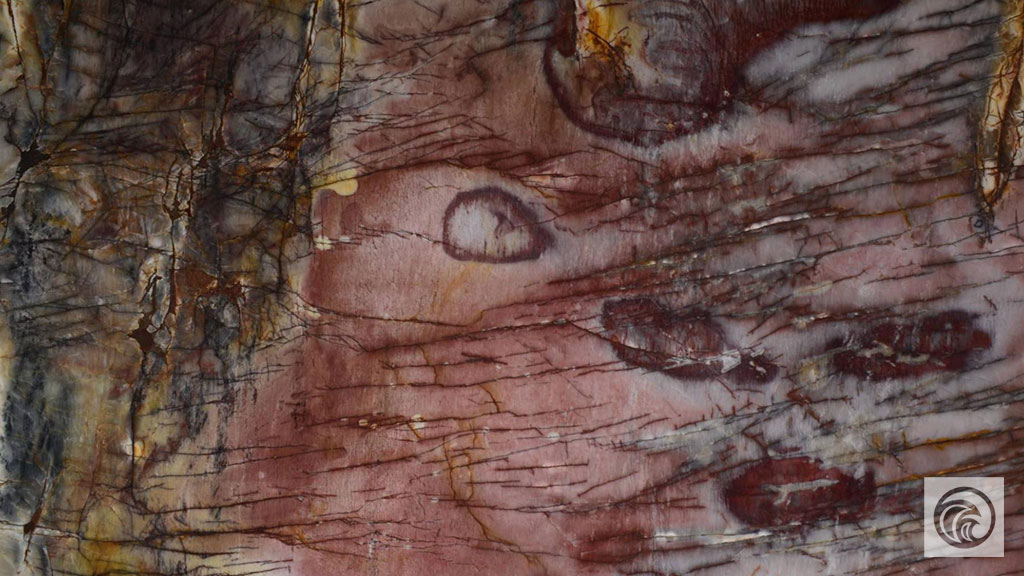 2cm Cosmopolitan - Premium