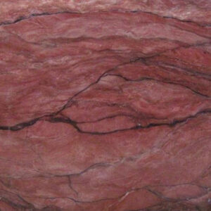 2cm Revolution - Premium