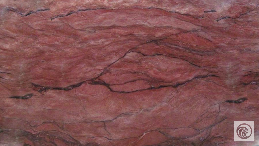 2cm Revolution - Premium