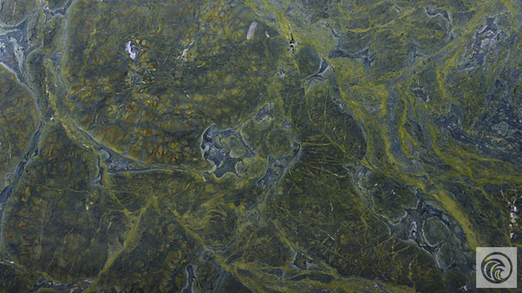 2cm Vitoria Regia - Select