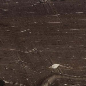 3cm Cygnus - Premium