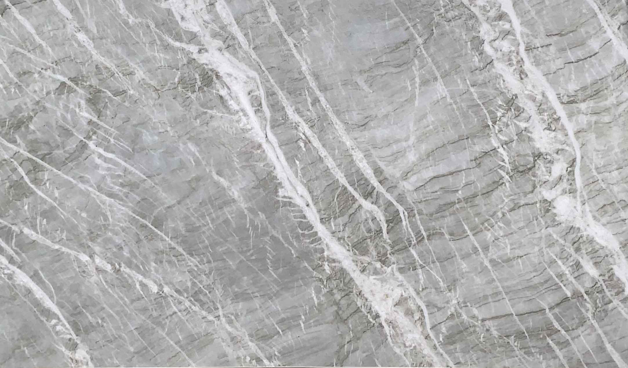 3cm Gabana - Premium