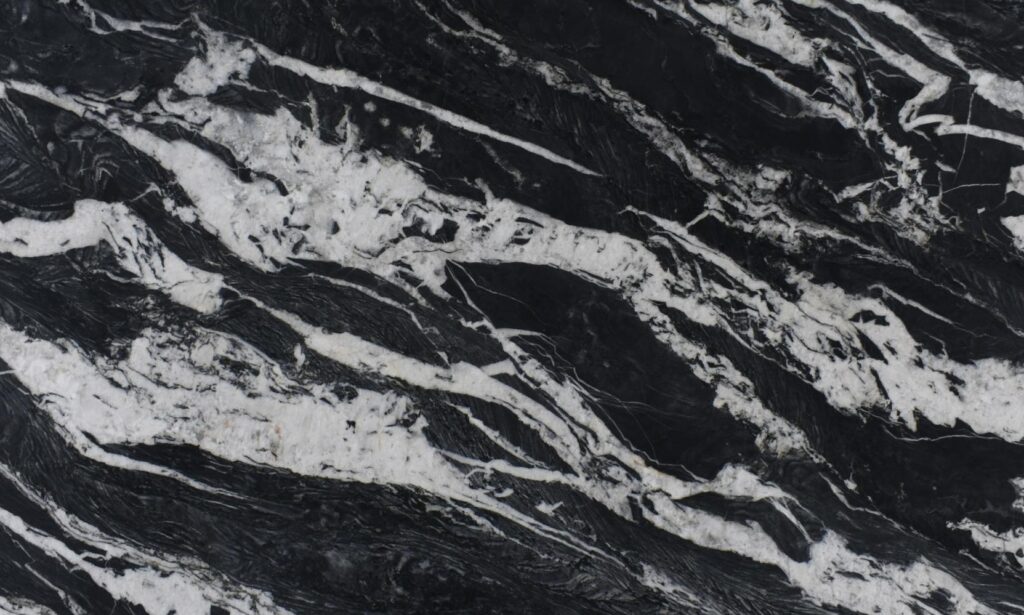 2cm Mandrake -Premium