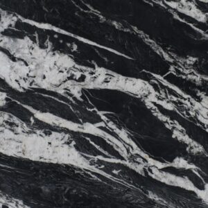 2cm Mandrake -Premium