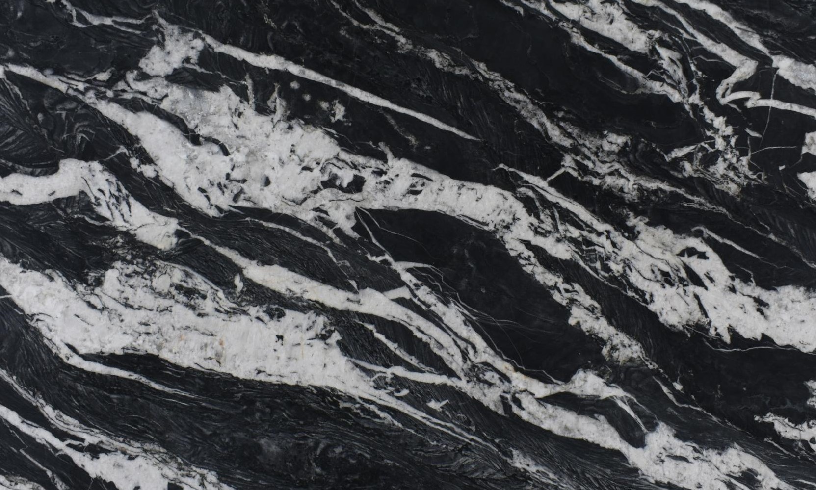 2cm Mandrake -Premium