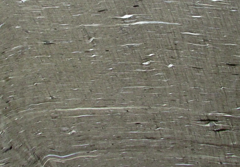 3cm Cygnus Leathered - Premium