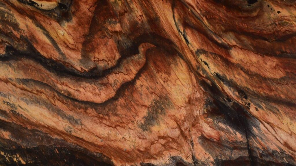 3cm Jacaranda - Premium