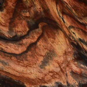 3cm Jacaranda - Premium