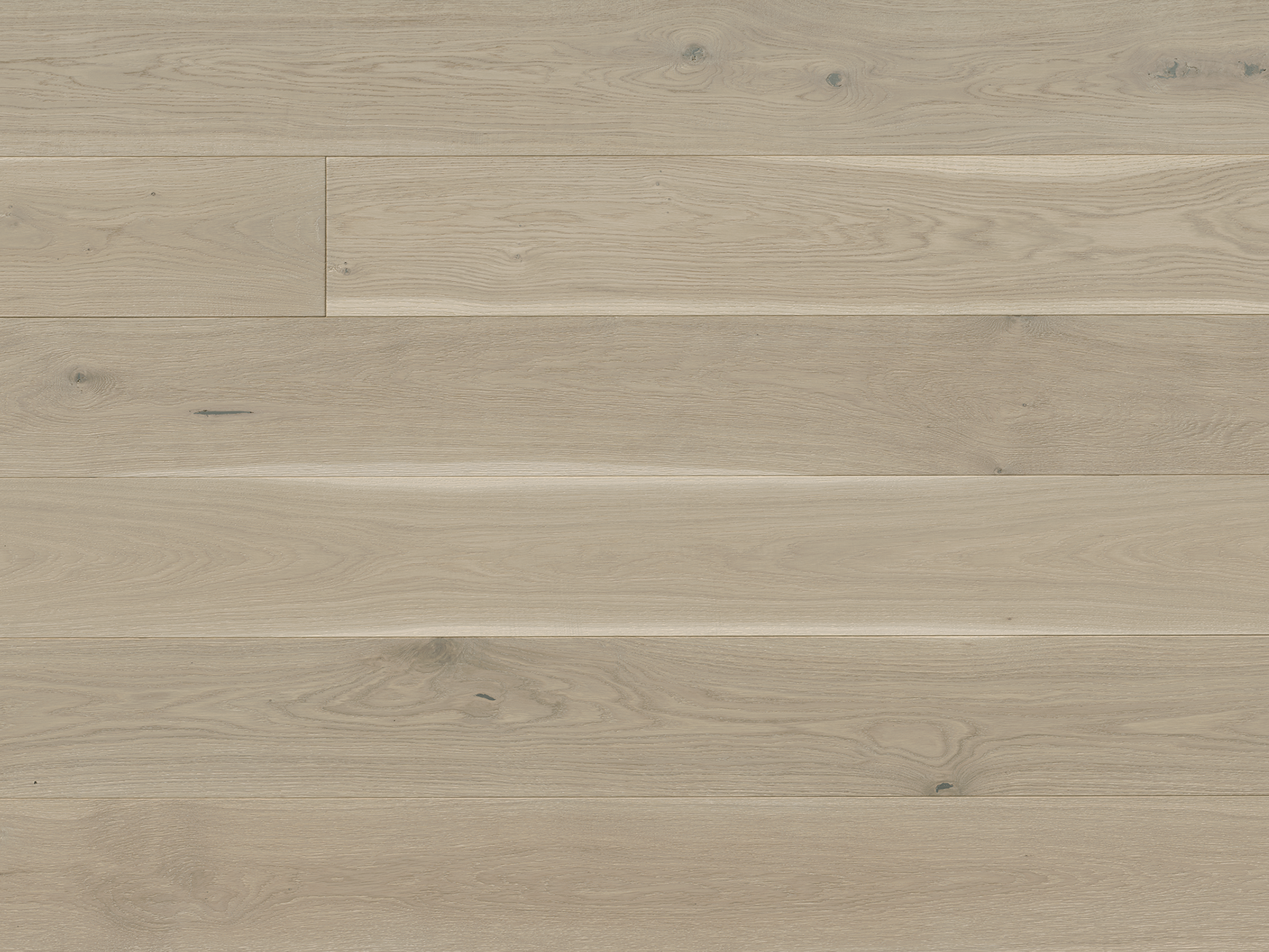 Costa EUROPEAN OAK LEONE