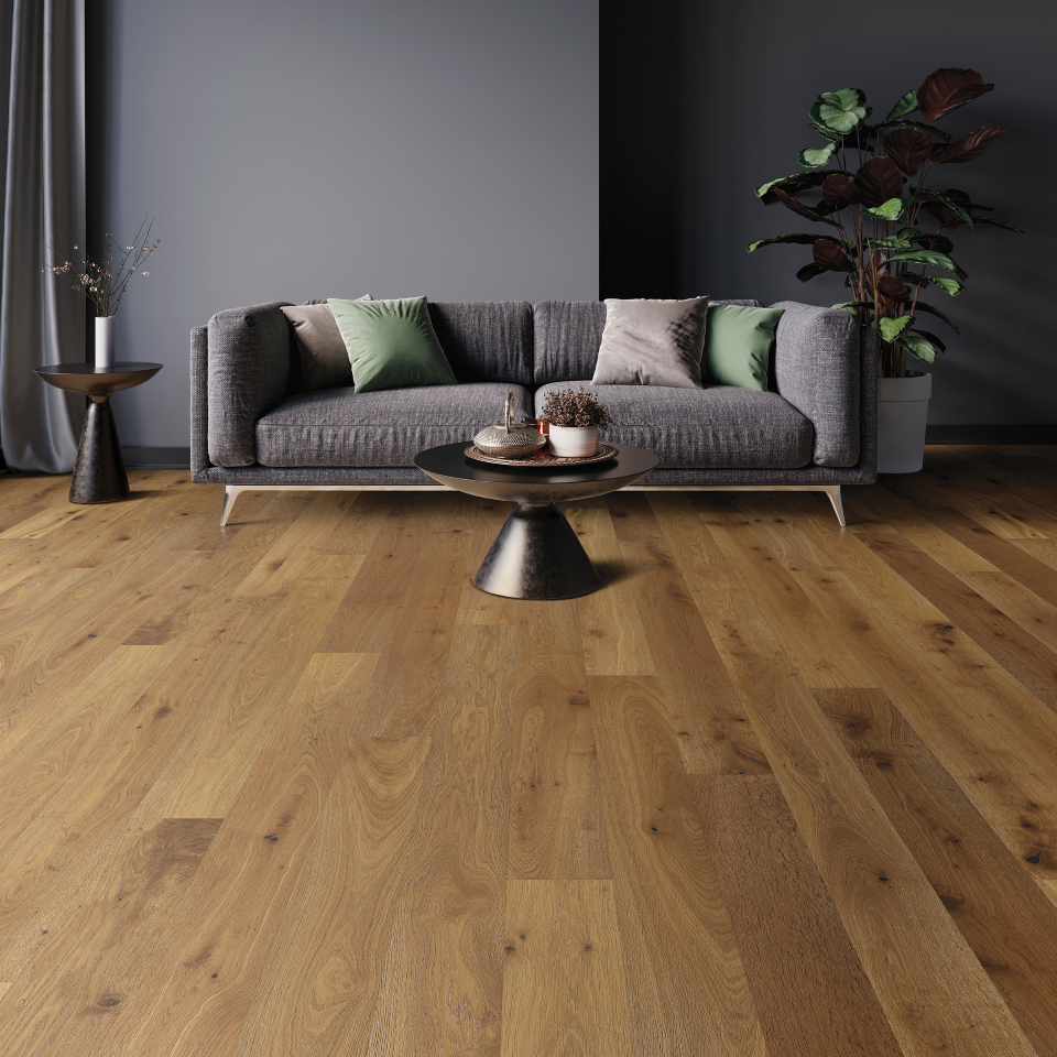 Valaire Nouveau Laurent Plank 14825 Valaire Nouveau Laurent Plank 14825